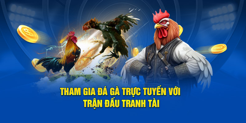 Tham gia đá gà trực tuyến với trận đấu tranh tài